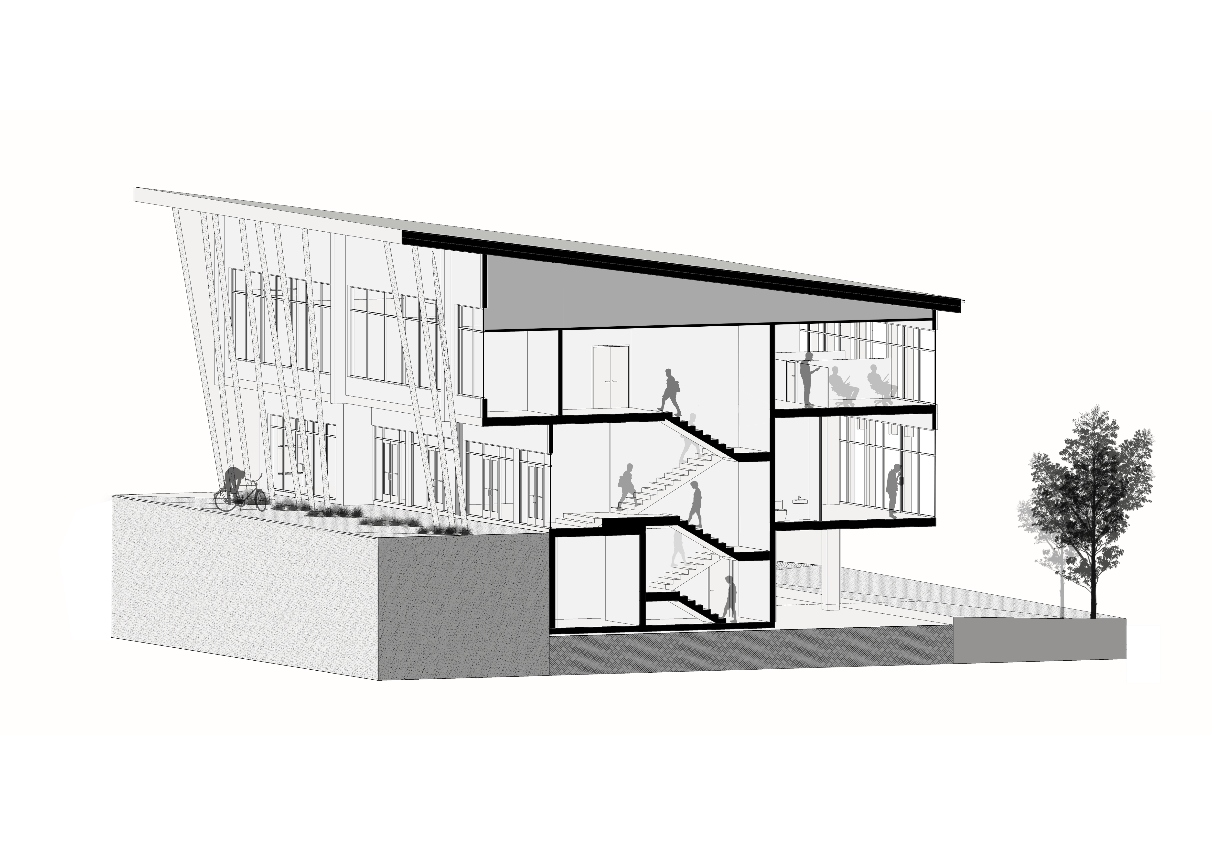 Architectural section through the Dairy Flat Highway commercial development