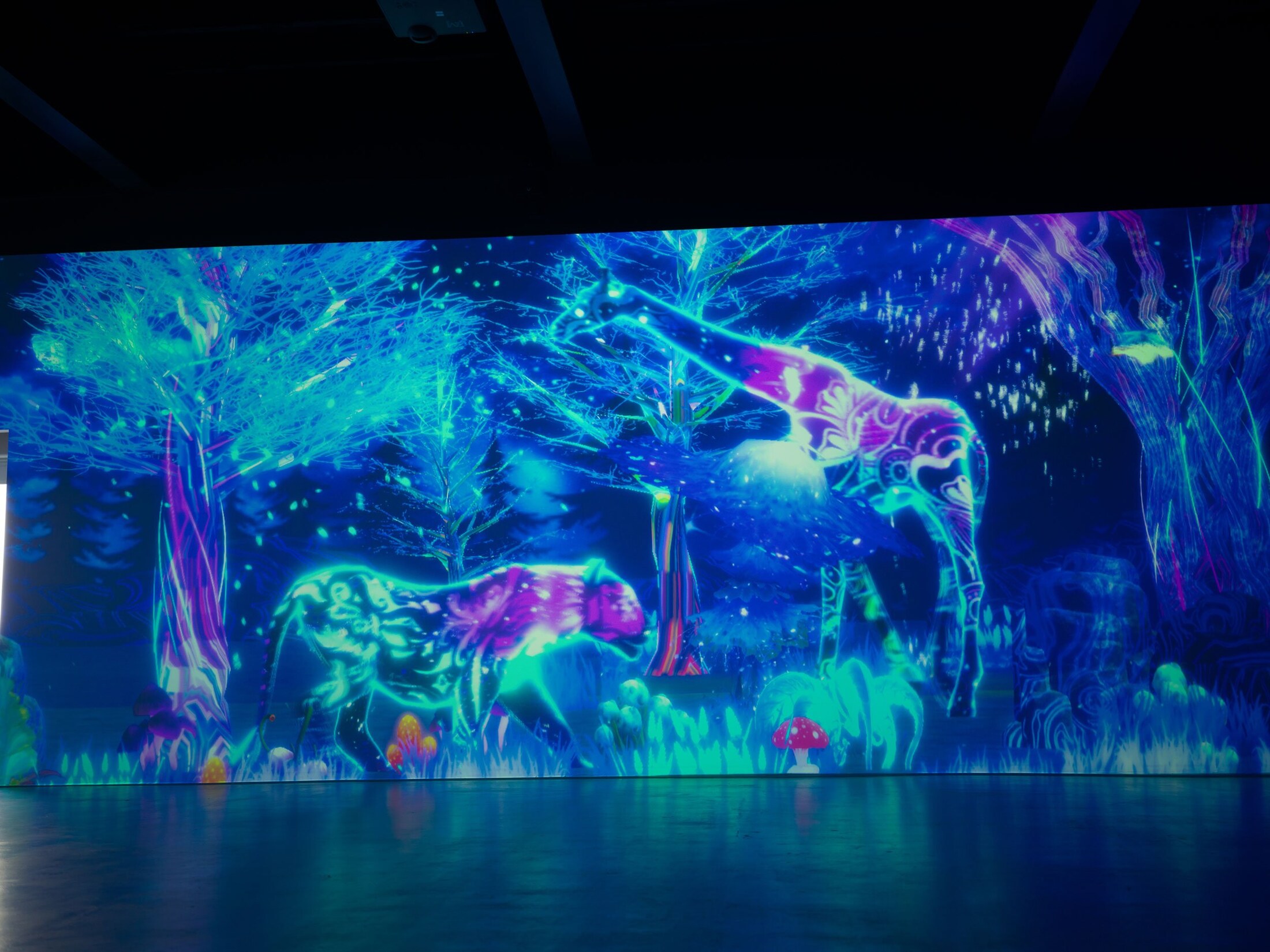 Immersive forest projection at 3 Mirage